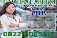 Jual obat aborsi ambon cytotec asli sebagai obat penggugur kandungan