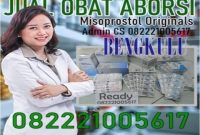 Jual obat aborsi bengkulu cytotec asli sebagai obat penggugur kandungan
