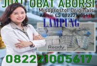 Jual obat aborsi lampung cytotec asli sebagai obat penggugur kandungan