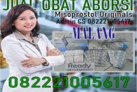 Jual obat aborsi malang cytotec asli sebagai obat penggugur kandungan