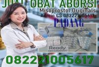 Jual obat aborsi padang cytotec asli sebagai obat penggugur kandungan