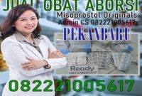 Jual obat aborsi pekanbaru cytotec asli sebagai obat penggugur kandungan