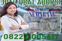 Jual obat aborsi semarang cytotec asli sebagai obat penggugur kandungan