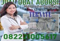 Jual obat aborsi ternate cytotec asli sebagai obat penggugur kandungan
